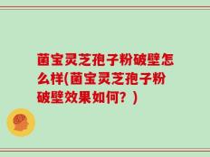 菌宝灵芝孢子粉破壁怎么样(菌宝灵芝孢子粉破壁效果如何？)