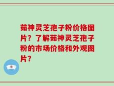 茹神灵芝孢子粉价格图片？了解茹神灵芝孢子粉的市场价格和外观图片？