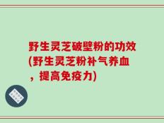 野生灵芝破壁粉的功效(野生灵芝粉补气养血，提高免疫力)
