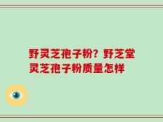 野灵芝孢子粉？野芝堂灵芝孢子粉质量怎样