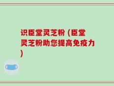 识臣堂灵芝粉 (臣堂灵芝粉助您提高免疫力)