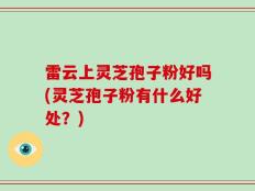 雷云上灵芝孢子粉好吗(灵芝孢子粉有什么好处？)