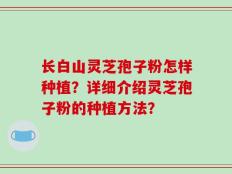 长白山灵芝孢子粉怎样种植？详细介绍灵芝孢子粉的种植方法？