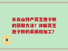 长白山特产灵芝孢子粉的获取方法？详解灵芝孢子粉的采摘和加工？