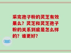 采完孢子粉的灵芝有效果么？灵芝和灵芝孢子粉的关系到底是怎么样的？谁更好？