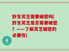 野生灵芝需要破壁吗(野生灵芝是否需要破壁？——了解灵芝破壁的必要性)