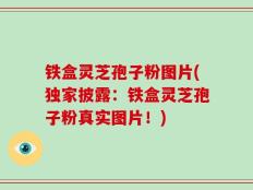 铁盒灵芝孢子粉图片(独家披露：铁盒灵芝孢子粉真实图片！)