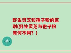 野生灵芝和孢子粉的区别(野生灵芝与孢子粉有何不同？)