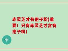 赤灵芝才有孢子粉(重要！只有赤灵芝才含有孢子粉)