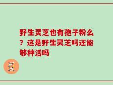 野生灵芝也有孢子粉么？这是野生灵芝吗还能够种活吗