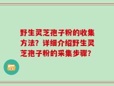 野生灵芝孢子粉的收集方法？详细介绍野生灵芝孢子粉的采集步骤？