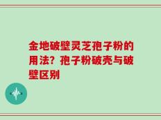 金地破壁灵芝孢子粉的用法？孢子粉破壳与破壁区别