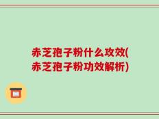 赤芝孢子粉什么攻效(赤芝孢子粉功效解析)