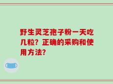 野生灵芝孢子粉一天吃几粒？正确的采购和使用方法？