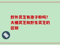 野外灵芝有孢子粉吗？大棚灵芝和野生灵芝的区别