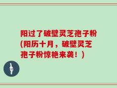 阳过了破壁灵芝孢子粉(阳历十月，破壁灵芝孢子粉惊艳来袭！)