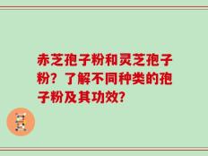 赤芝孢子粉和灵芝孢子粉？了解不同种类的孢子粉及其功效？