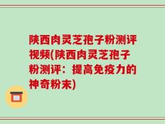 陕西肉灵芝孢子粉测评视频(陕西肉灵芝孢子粉测评：提高免疫力的神奇粉末)
