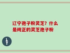 辽宁孢子粉灵芝？什么是纯正的灵芝孢子粉
