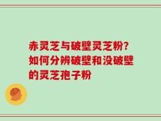 赤灵芝与破壁灵芝粉？如何分辨破壁和没破壁的灵芝孢子粉