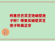 阿里巴巴灵芝饱破壁孢子粉？哪里买破壁灵芝孢子粉最正宗