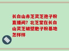 长白山赤芝灵芝孢子粉直播间？北芝堂在长白山灵芝破壁胞子粉基地怎样样