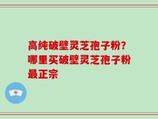 高纯破壁灵芝孢子粉？哪里买破壁灵芝孢子粉最正宗