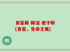 青苔藓 鲜活 孢子粉(青苔，生命之美)