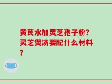 黄芪水加灵芝孢子粉？灵芝煲汤要配什么材料？