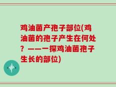 鸡油菌产孢子部位(鸡油菌的孢子产生在何处？——一探鸡油菌孢子生长的部位)