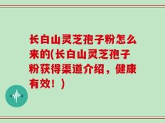 长白山灵芝孢子粉怎么来的(长白山灵芝孢子粉获得渠道介绍，健康有效！)