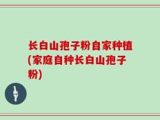 长白山孢子粉自家种植(家庭自种长白山孢子粉)