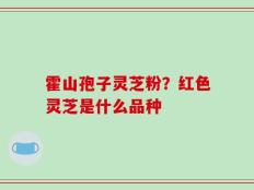 霍山孢子灵芝粉？红色灵芝是什么品种