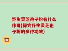 野生灵芝孢子粉有什么作用(探究野生灵芝孢子粉的多种功效)