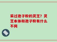 采过孢子粉的灵芝？灵芝本体和孢子粉有什么不同