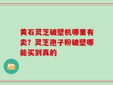 黄石灵芝破壁机哪里有卖？灵芝孢子粉破壁哪能买到真的