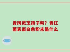 青冈灵芝孢子粉？青杠菌表面白色粉末是什么