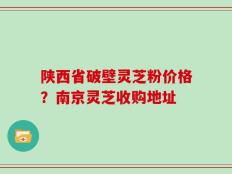 陕西省破壁灵芝粉价格？南京灵芝收购地址