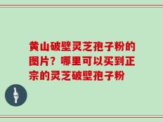黄山破壁灵芝孢子粉的图片？哪里可以买到正宗的灵芝破壁孢子粉