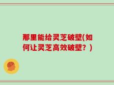 那里能给灵芝破壁(如何让灵芝高效破壁？)