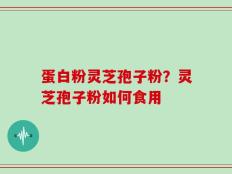 蛋白粉灵芝孢子粉？灵芝孢子粉如何食用