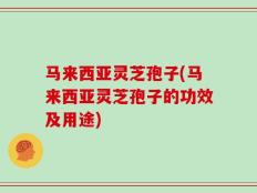 马来西亚灵芝孢子(马来西亚灵芝孢子的功效及用途)