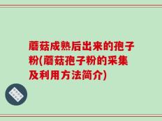 蘑菇成熟后出来的孢子粉(蘑菇孢子粉的采集及利用方法简介)
