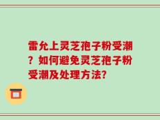 雷允上灵芝孢子粉受潮？如何避免灵芝孢子粉受潮及处理方法？