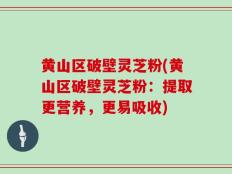 黄山区破壁灵芝粉(黄山区破壁灵芝粉：提取更营养，更易吸收)