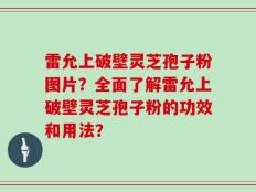 雷允上破壁灵芝孢子粉图片？全面了解雷允上破壁灵芝孢子粉的功效和用法？