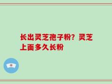 长出灵芝孢子粉？灵芝上面多久长粉