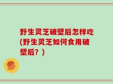 野生灵芝破壁后怎样吃(野生灵芝如何食用破壁后？)