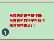 马粪包的孢子粉作用(马粪包中的孢子粉如何助力植物生长？)