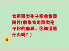 食用菌类孢子粉收集器图片(收集食用菌类孢子粉的器具，你知道是什么吗？)